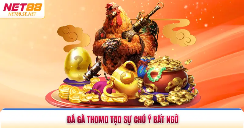 Đá Gà Thomo - Kèo Cược Uy Tín, Kịch Tính Theo Dõi Đá gà Thomo tạo sự chú ý bất ngờ