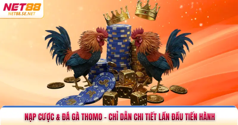 Nạp & Cược Đá Gà Thomo - Chỉ Dẫn Chi Tiết Lần Đầu Tiến Hành Nạp & Cược Đá Gà Thomo - Chỉ Dẫn Chi Tiết Lần Đầu Tiến Hành